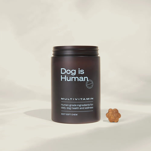 DM-01™ Daily Multivitamin 100% Human-Grade Ingredients
